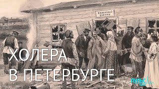 Факты об эпидемии холеры в Петербурге