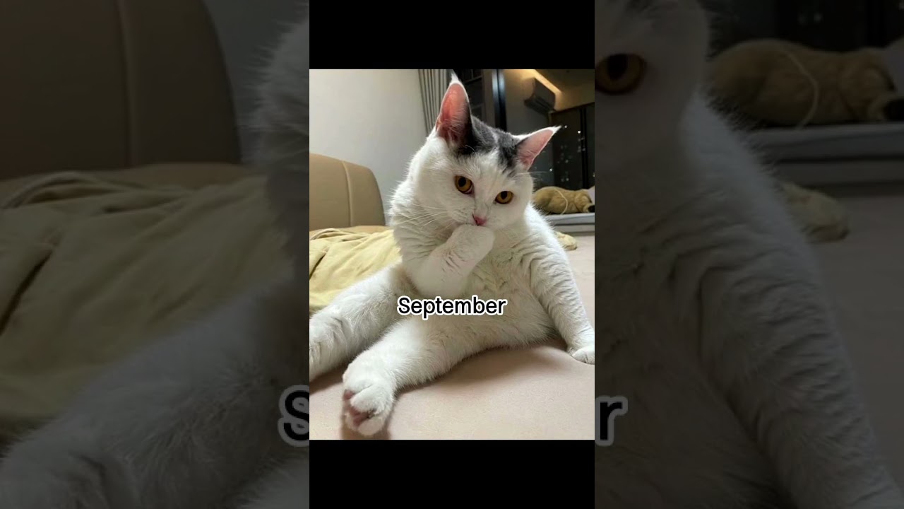 Отправьте прямо сейчас! 