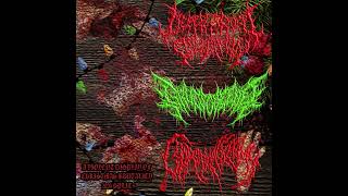 Deepthroat Defecation - Deepthroat Defecation
