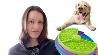 The Only Dog Toy That Tires My Dogs Out Every Day by SpiritDog Training 60,752 views 3 months ago 4 minutes, 43 seconds