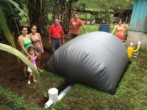 Vídeo: Compostatge de gra gastat: és possible compostar residus de cervesa casolana