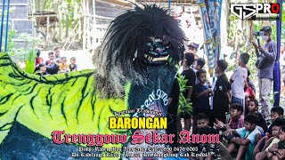 BARONGAN TRENGGONO SEKAR ANOM LIVE NGERJO 1
