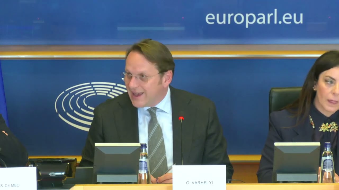 PANS & PANDAS: A Bridge Between Science, Healthcare and European Policie (English Language)