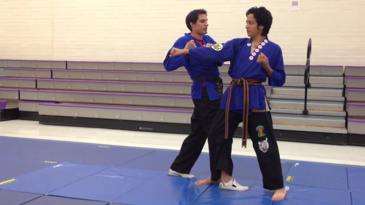 5th one step in palm block series slow arc hand strike