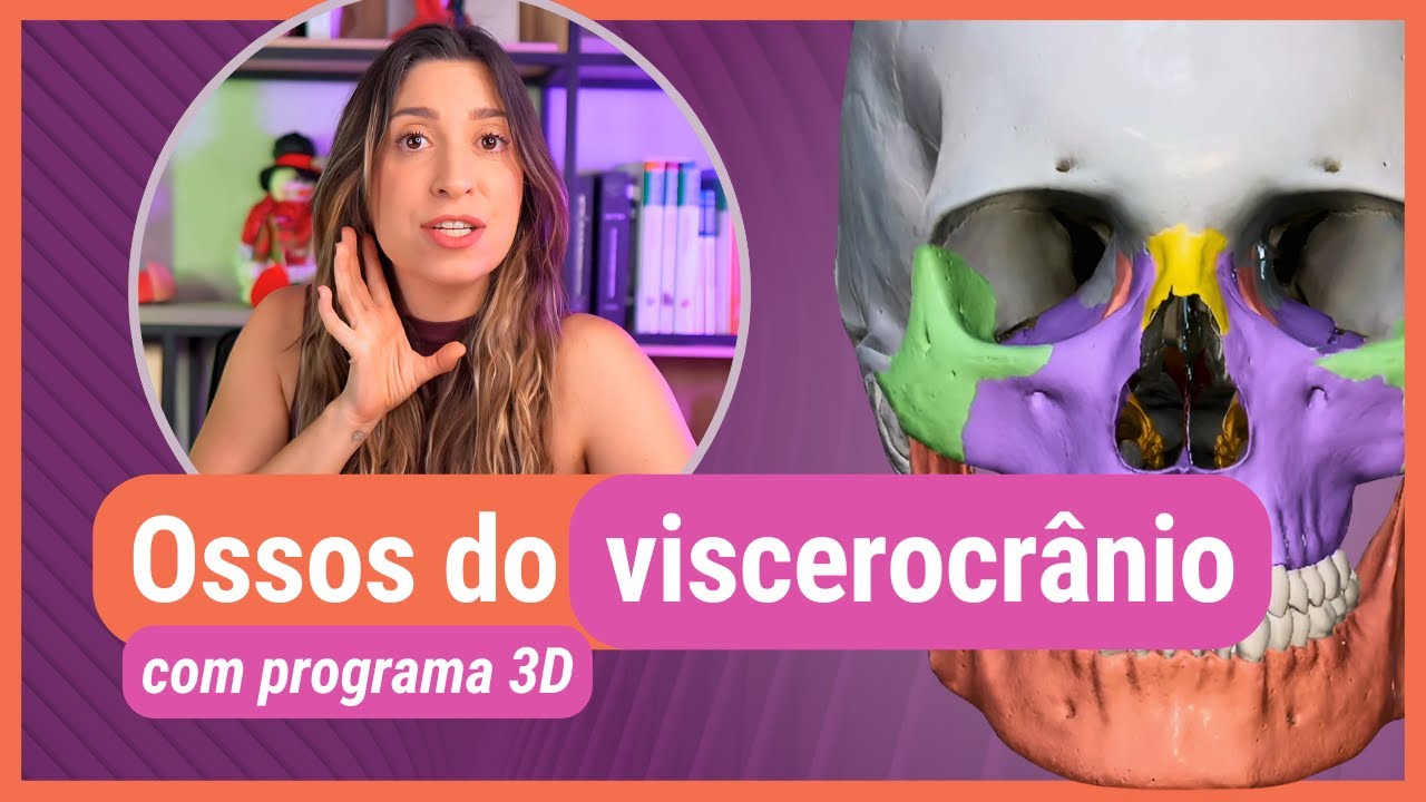 OSSOS DO VISCEROCRÂNIO! Com programa 3D