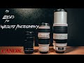 LENSES for WILDLIFE PHOTOGRAPHY | From Beginner to Advanced | CANON 100-400 F4.5-5.6 L II