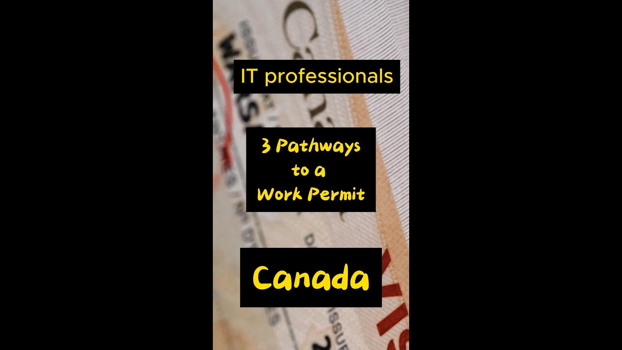 Three pathways to a work permit for IT professionals coming to Canada #shortsvideo