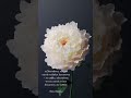 Доверяй #свобода_с_катрин