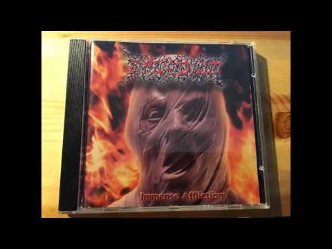 Epicedium Immense Affliction (2004, CD) Discogs