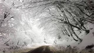 IMG 40161