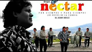 Grupo Néctar - Sr. Juez