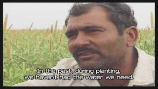 Drowned Out: DVD Extras: Small Solutions.mov