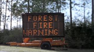 Kellee Candy - Video Essay - Film101