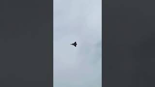 PARIS AIRSHOW | 55th SIAE |  Rafale Solo Display