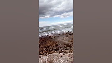 الْمَالُ وَالْبَنُونَ زِينَةُ الْحَيَاةِ الدُّنْيَا .. فارس عباد سورة الكهف الآية 46