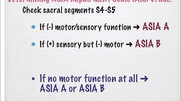 ASIA spinal Cord Injury Classification