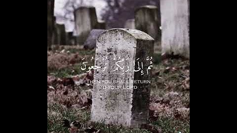 تلاوة خاشعة للشيخ ياسر الدوسري # حالات واتساب