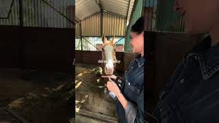 Bloom & flow Pilates with ponies 💕🩰🫶🌷🌸
