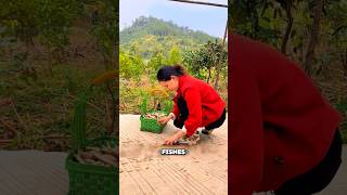 Poor Girl Finds Fresh Fish on the Road and Cooks Them! #shorts #food #asmreating #tiktok