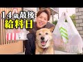【今しかない時間】シニア犬と暮らす、14歳最後の給料日