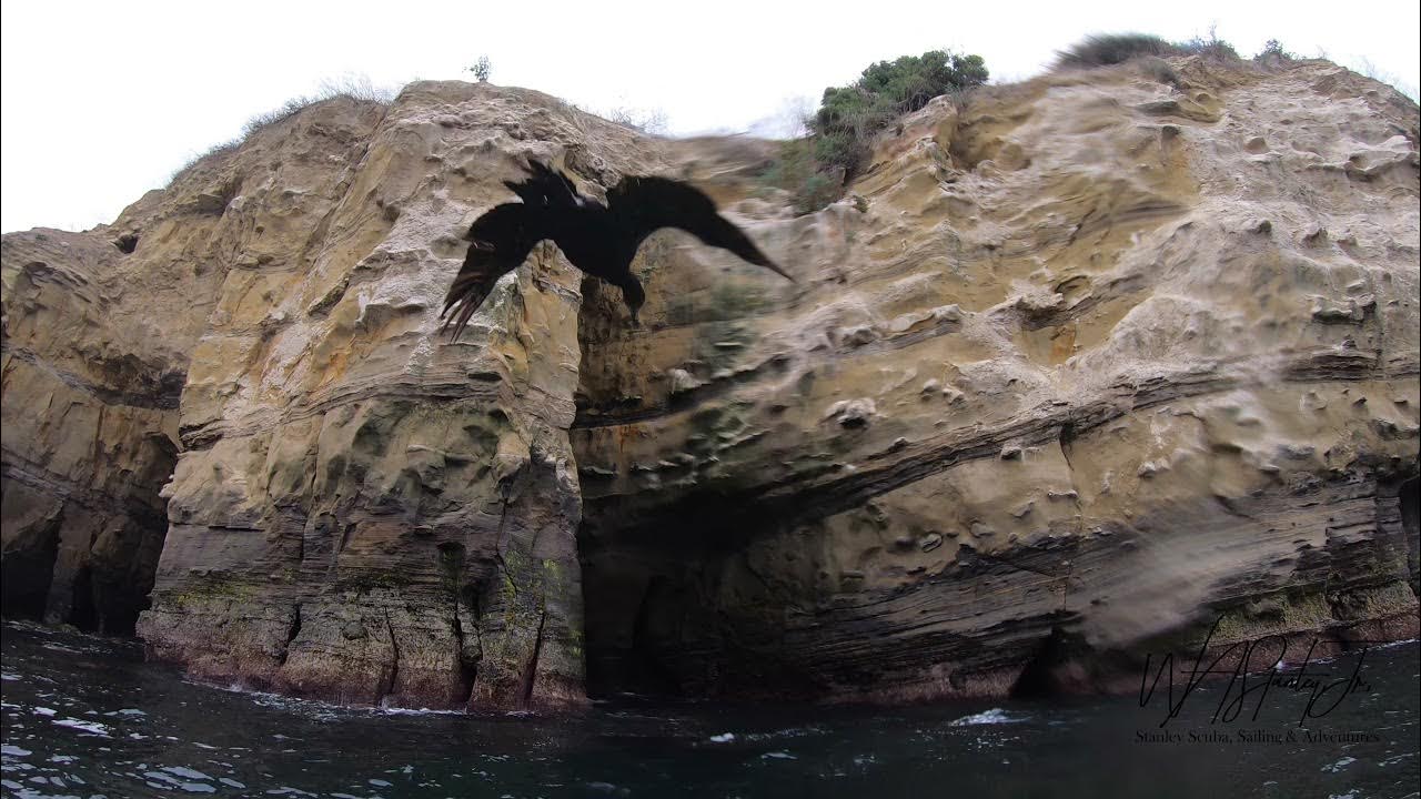 Kayaking La Jolla Sea Caves San Diego California YouTube