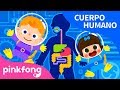 Digestión | Sistema Digestivo | Cuerpo Humano | Pinkfong Canciones Infantiles