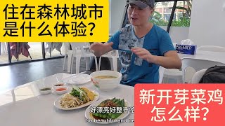 交通中心新开的怡保芽菜鸡可还正宗？能否改写森林城市没地儿吃饭的历史？｜马来西亚柔佛｜Forest City Johor, Malaysia