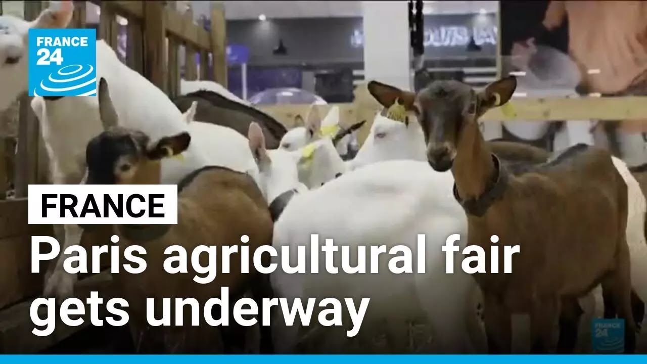 France's annual agricultural show gets underway in Paris • FRANCE 24 English