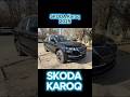 Skoda Karoq 2025 за 3,1 млн ₽ #skoda#karoq#шкода