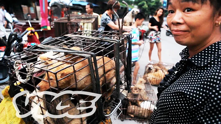 Dining on Dogs in Yulin: VICE Reports (Trailer)
