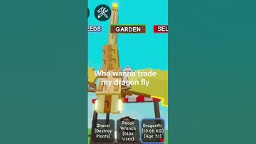 who wanna trade my df put your user in the comment #roblox #growagarden #trading