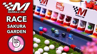 🏁 Marbula One S4 GP3 🏁 Sakura Garden RACE🌸 Jelle's Marble Runs