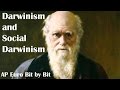 Social Darwinism and Darwin's Theories