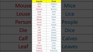 Singular Vs Plural  Vocabulary singularplural englishvocabulary englishlanguage englishshorts