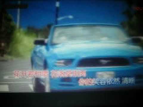 《风里雨里我在等你》【WB】（ 甫人-雨中百合）2019.6.2.