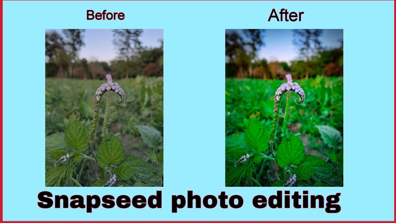 Snapseed tutorial || new photo Editing || Editing || Tending video ...