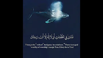 و ذا النون القارئ اسلام صبحي 