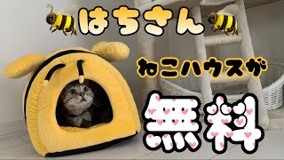 【無料ねこハウス】無料で手にいれるには！？