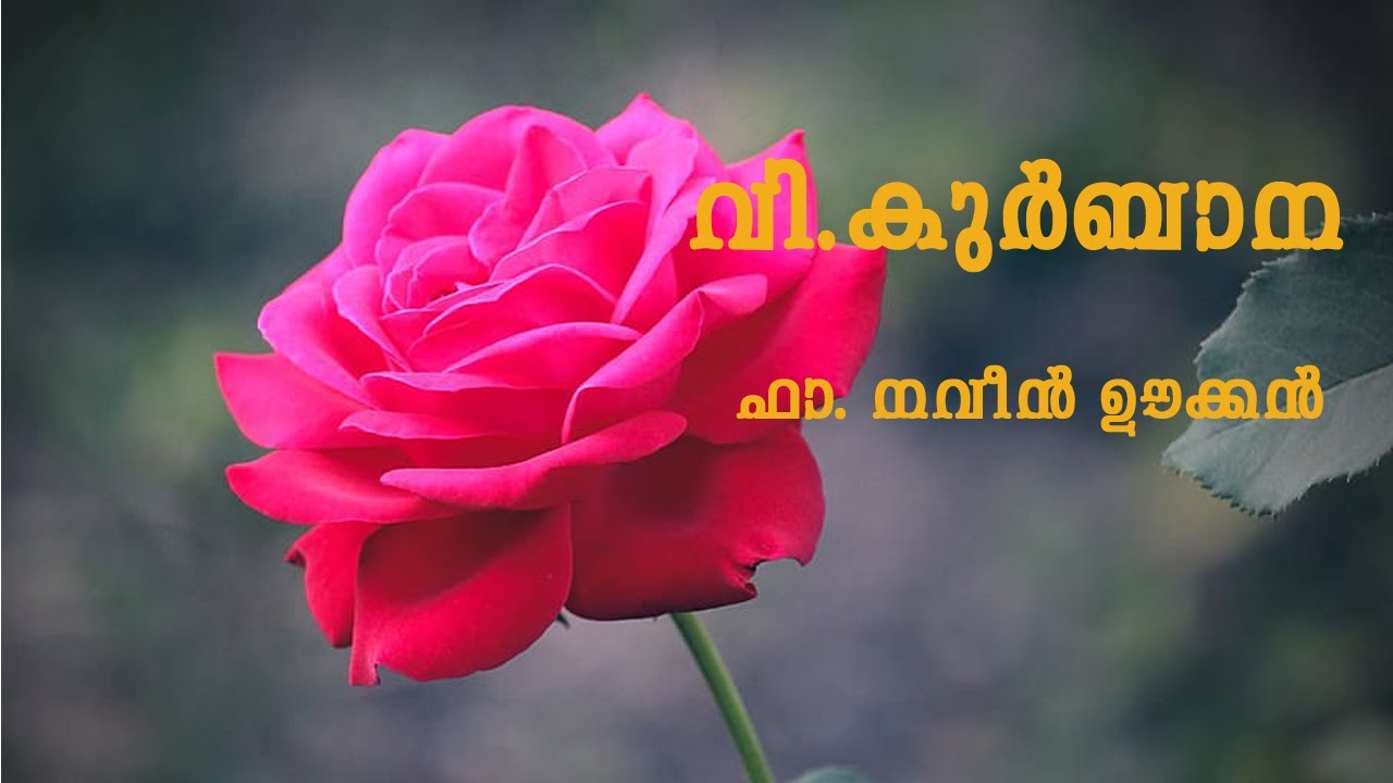 Holy Mass Malayalam / വി.കുർബാന Nov 04/ Fr.Naveen ukken/St.James