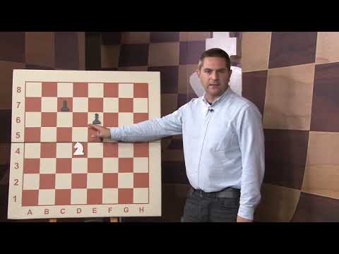 XI გაკვეთილი   მხედარი