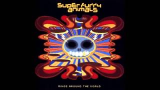 Super Furry Animals - Miniature