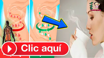 ¿Qué ocurre cuando se bebe agua caliente con el estómago vacío por la mañana?