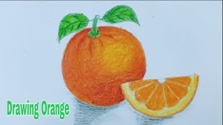 Drawing orange | vẽ quả cam | art thao162