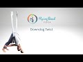 Aerial Downdog Twist