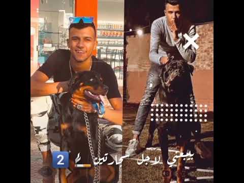 حالات واتس عصام صاصا كنت مربي فى بيتى زمان لا مش كلب كان كلبين عصام صاصا الكروان