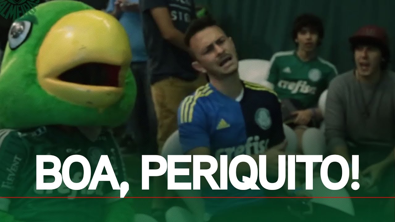 Resultado de imagem para fred desimpedidos camisa do palmeiras