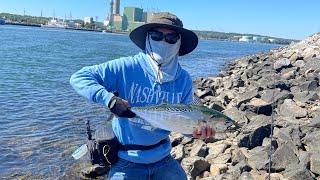 Cape Cod Canal False Albacore(Albie) Fishing @ Cape Cod Canal #capecodcanal #albie #falsealbacore