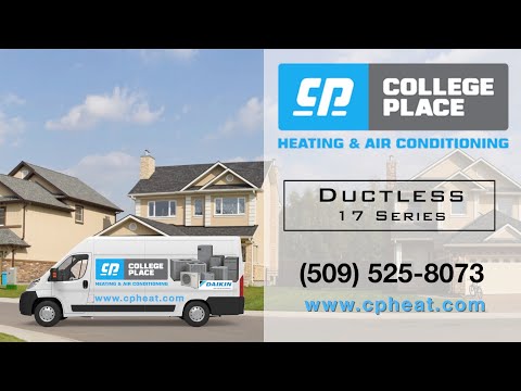Daikin Ductless 17 Series