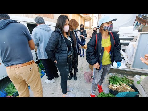 Video vlog 88: Cuộc Sống Tại Đảo Síp || Tết Của Người Việt... - youtube
