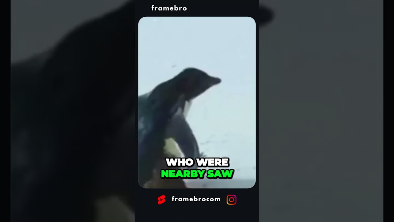 Unlikely Animal Heroes: Inspiring Stories of Courage and Compassion